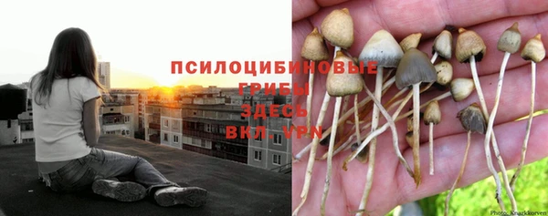 амфетамин Алексин