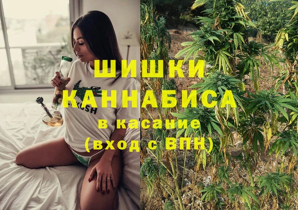 дурь Алзамай