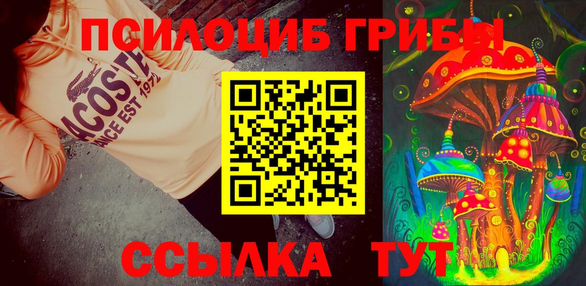 Псилоцибиновые грибы мицелий Еманжелинск